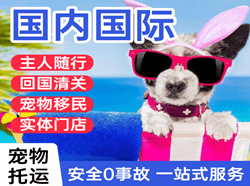长白山机场货运国际宠物托运 【国